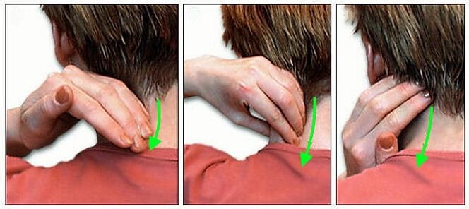 Neck