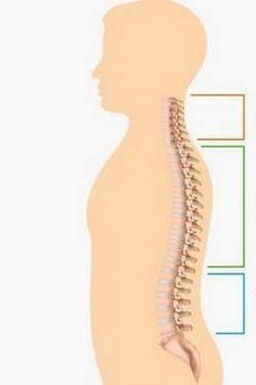 Damage to osteoarthritis of different parts of the spine